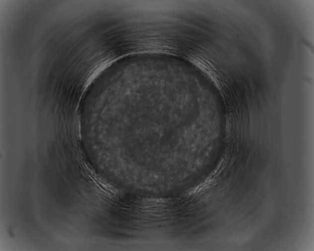 X0000097500925200803201549