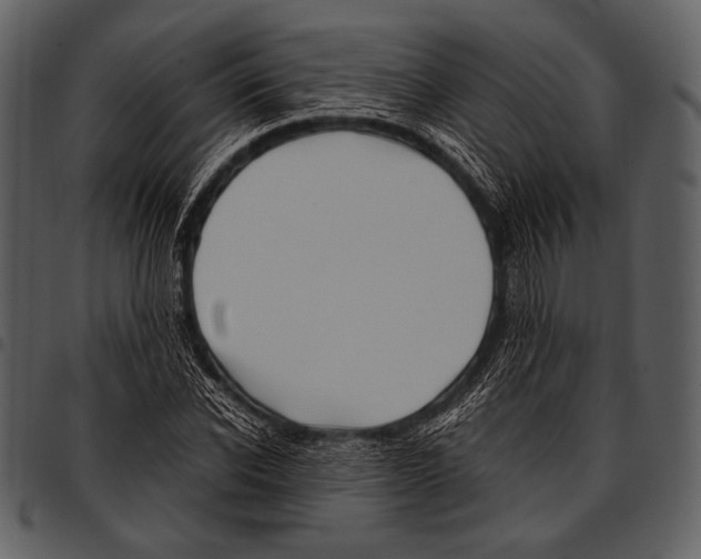 X0000097500926200803201549
