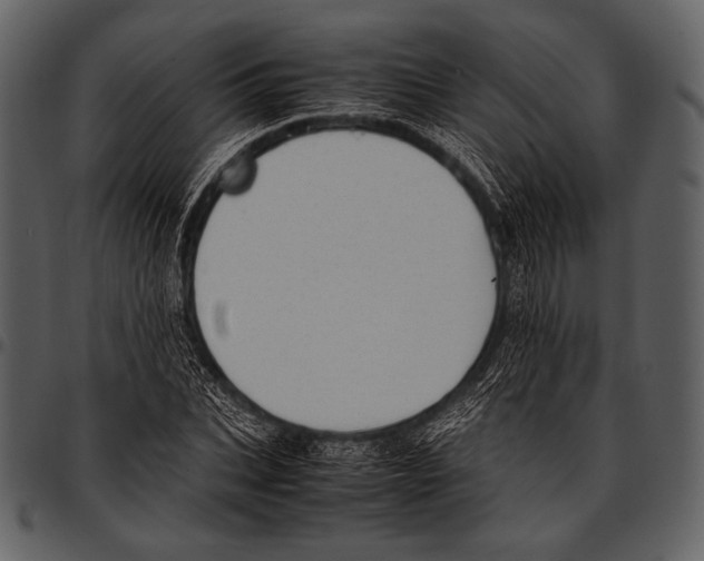 X0000097500927200803201549