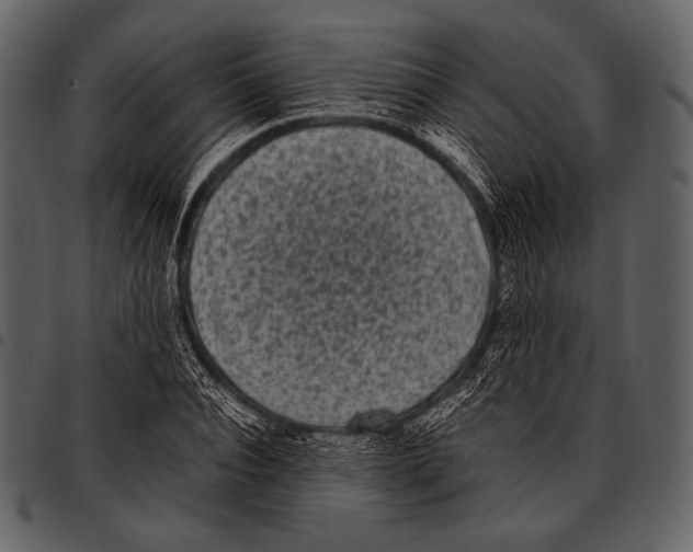 X0000097500928200803201549