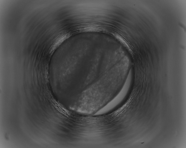 X0000097500930200803201549