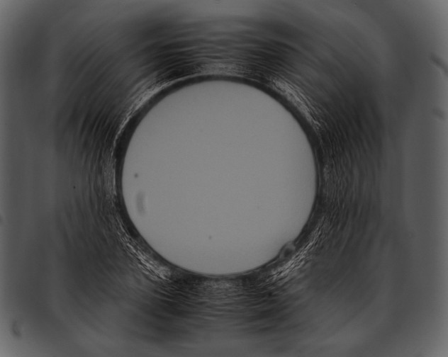 X0000097500931200803201549