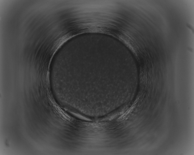 X0000097500932200803201549