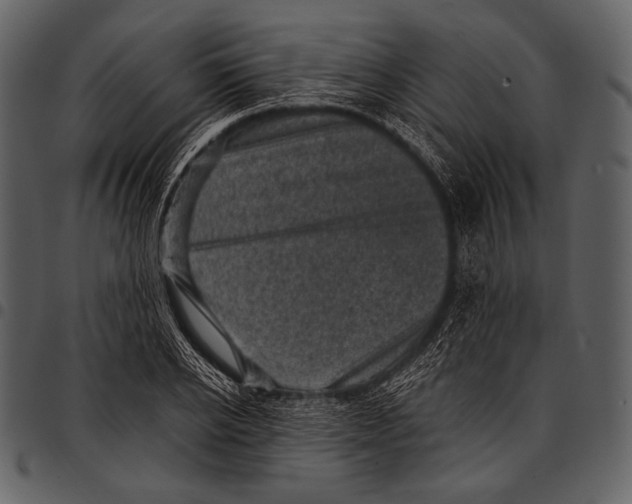 X0000097500934200803201549