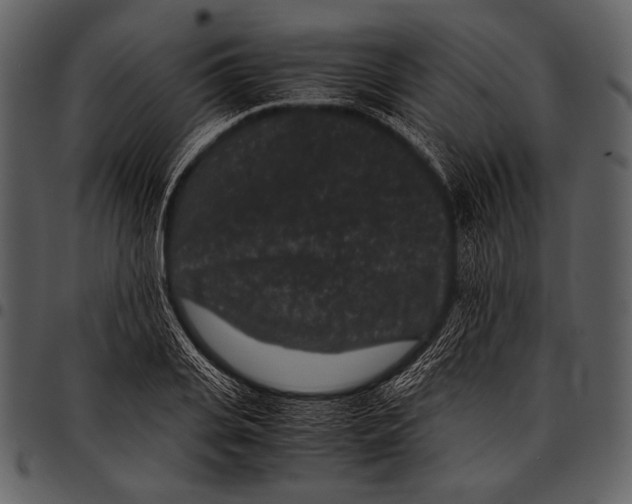 X0000097500935200803201549