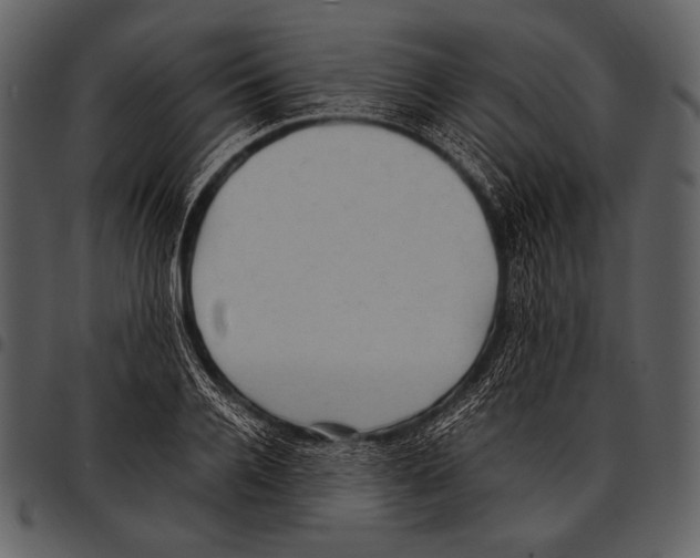 X0000097500936200803201549