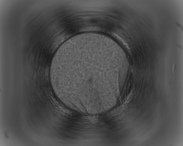 X0000097500937200803201549