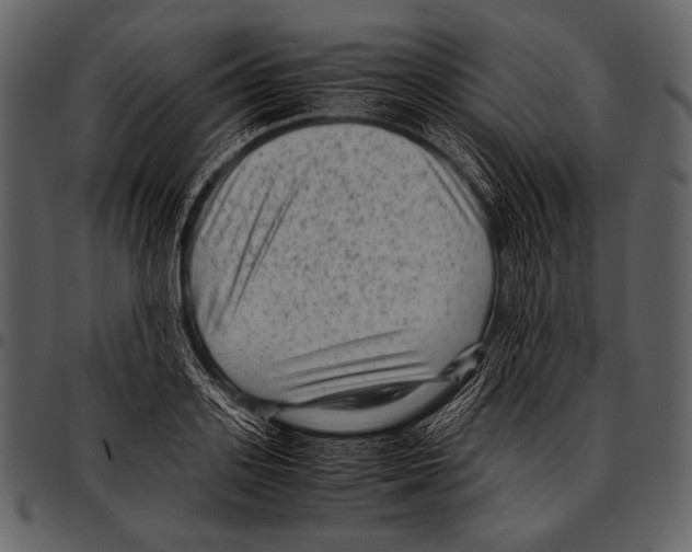 X0000097500939200803201549