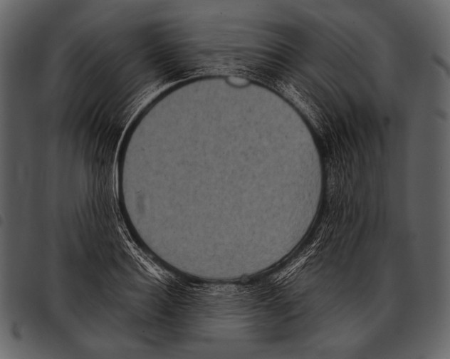 X0000097500940200803201549