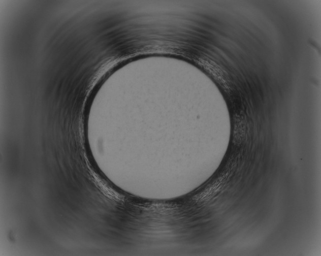 X0000097500942200803201549