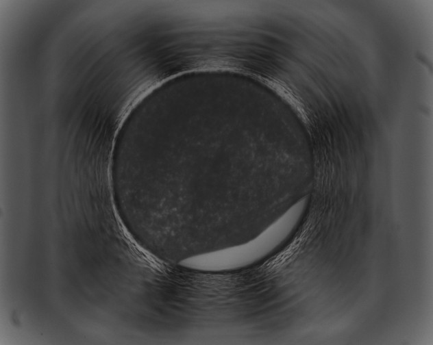 X0000097500943200803201549