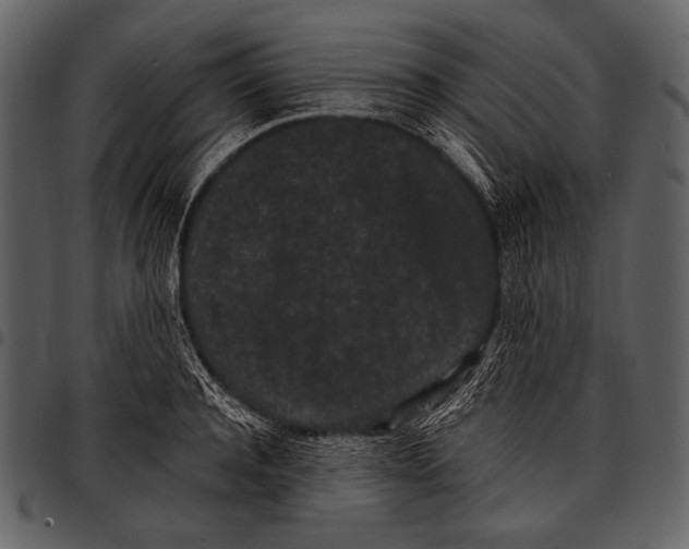 X0000097500944200803201549