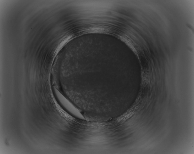 X0000097500946200803201549
