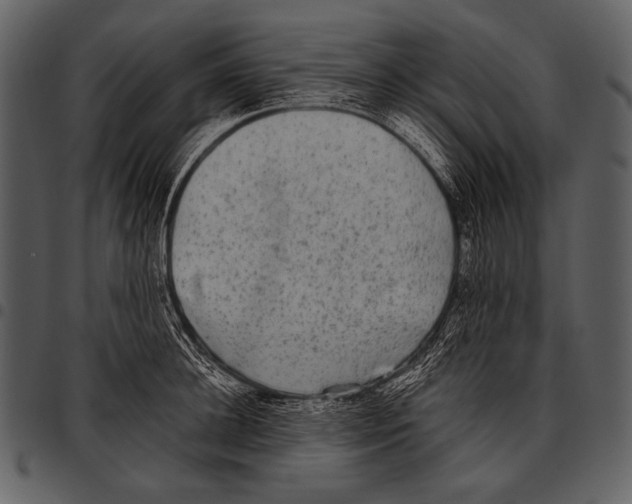 X0000097500948200803201549