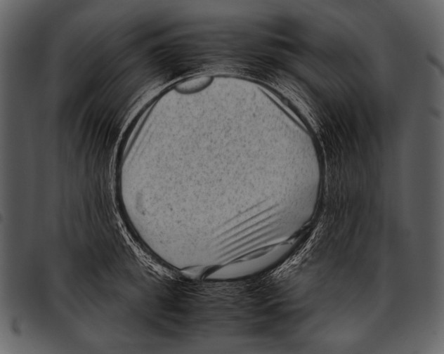 X0000097500949200803201549