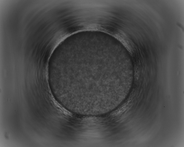 X0000097500950200803201549