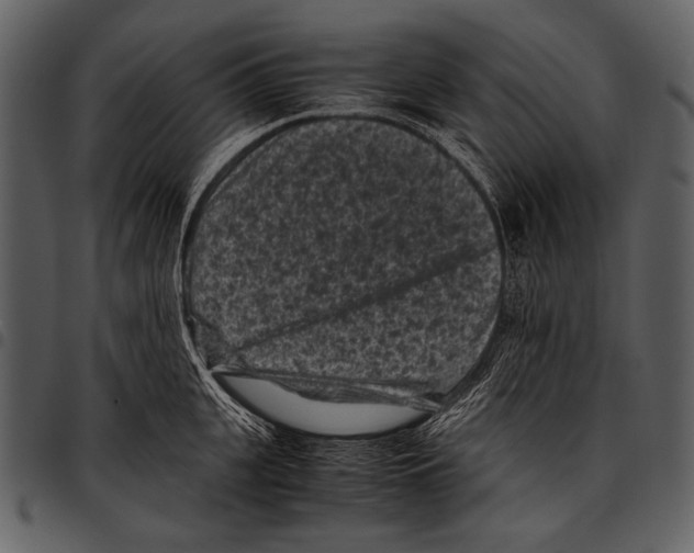 X0000097500951200803201549