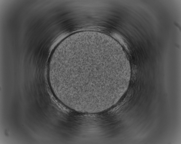 X0000097500952200803201549
