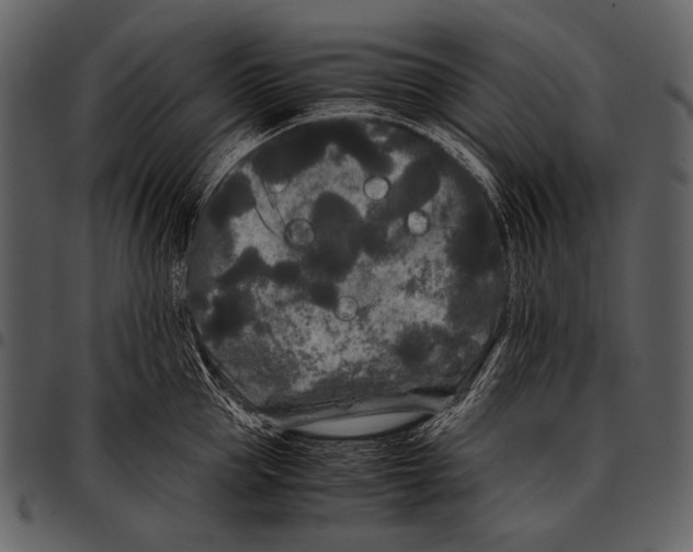 X0000097500953200803201549