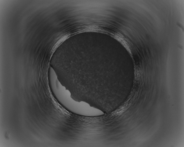 X0000097500954200803201549
