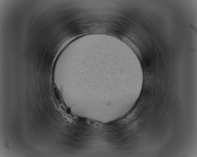 X0000097500956200803201549