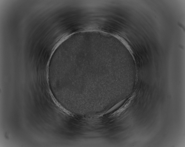 X0000097500957200803201549