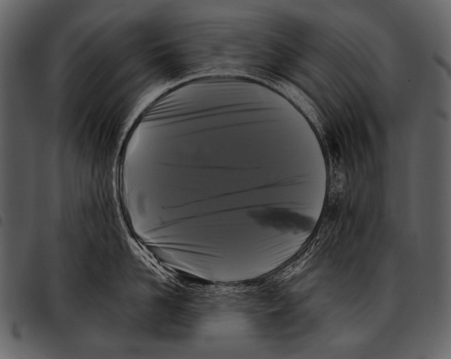 X0000097500958200803201549