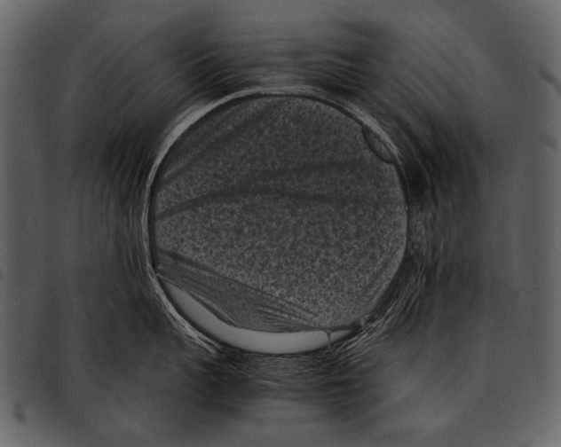 X0000097500959200803201549