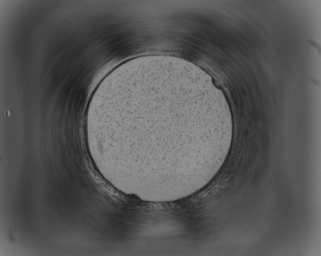 X0000097500960200803201549