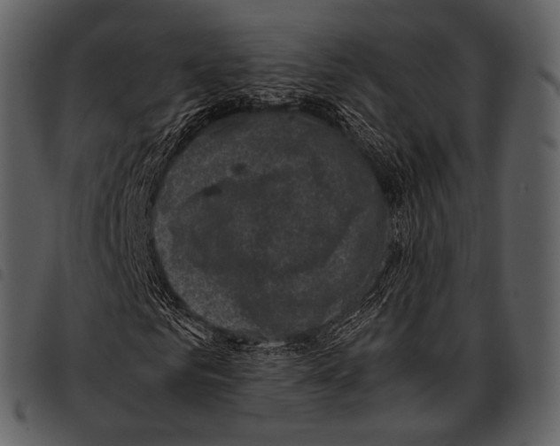 X0000097500961200803201549