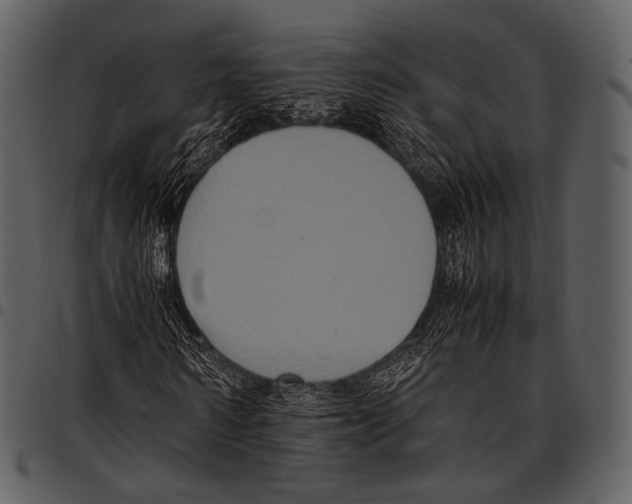 X0000097500962200803201549