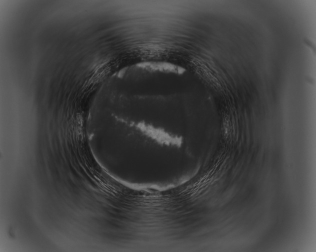 X0000097500964200803201549