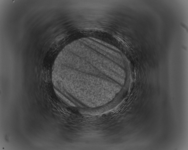 X0000097500965200803201549
