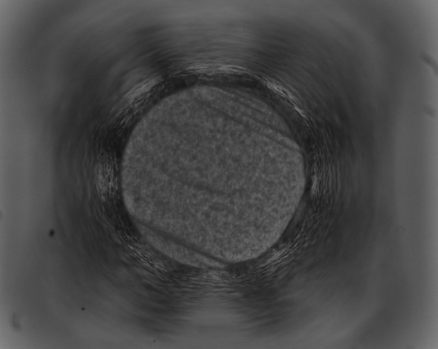 X0000097500966200803201549