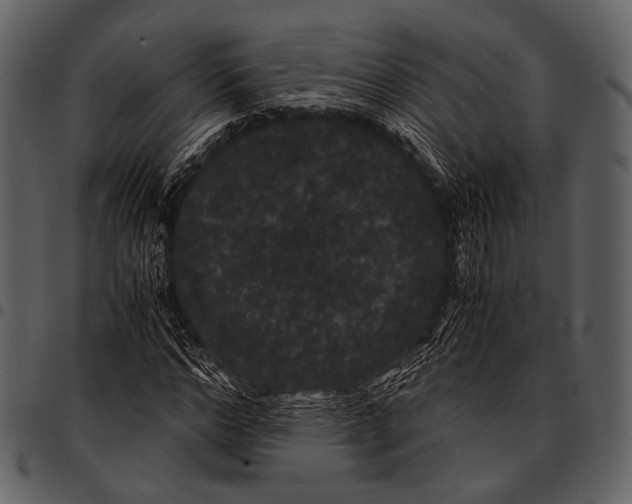 X0000097500968200803201549