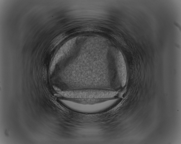 X0000097500969200803201549