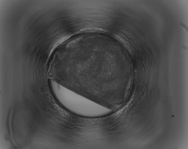 X0000097500973200803201549