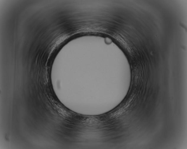 X0000097500974200803201549