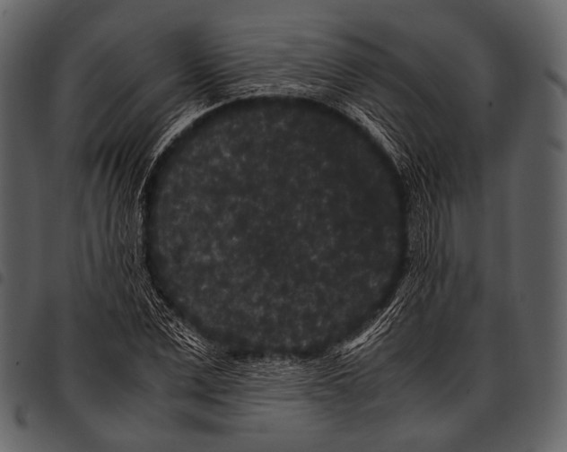 X0000097500975200803201549