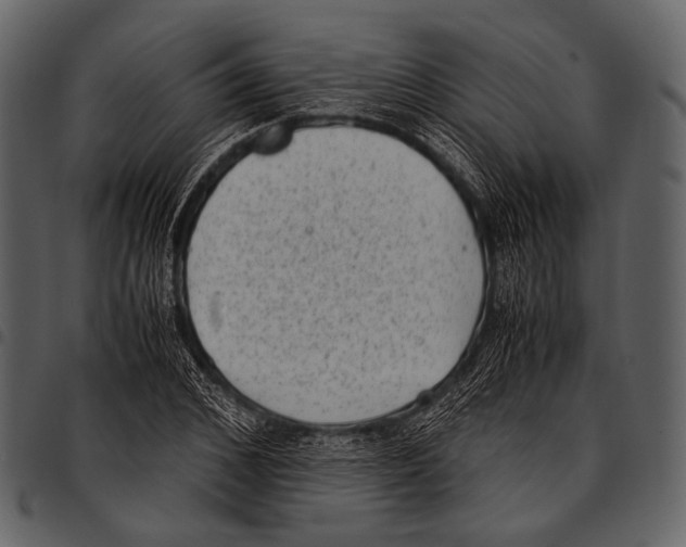 X0000097500976200803201548