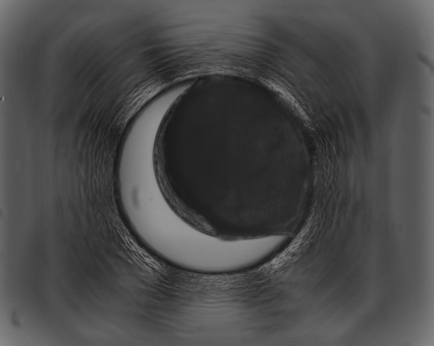 X0000097500977200803201548