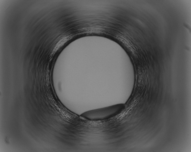 X0000097500978200803201548