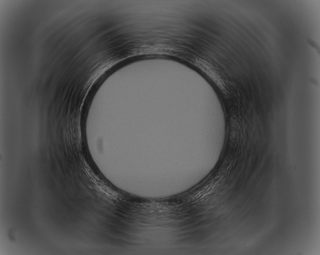 X0000097500980200803201548