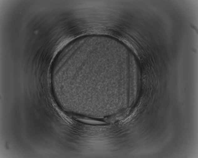 X0000097500981200803201548