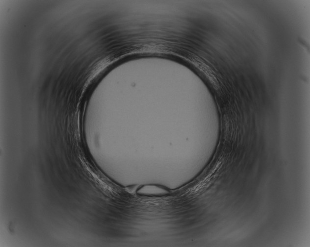X0000097500982200803201548