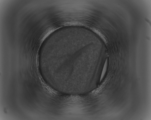 X0000097500983200803201548