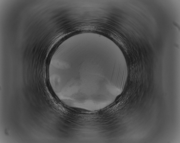 X0000097500984200803201548