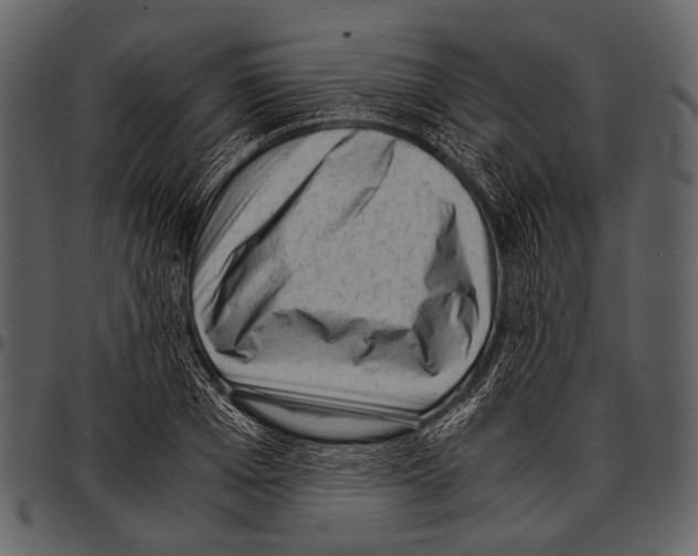 X0000097500985200803201548