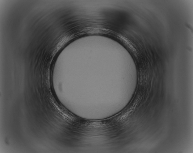 X0000097500986200803201548