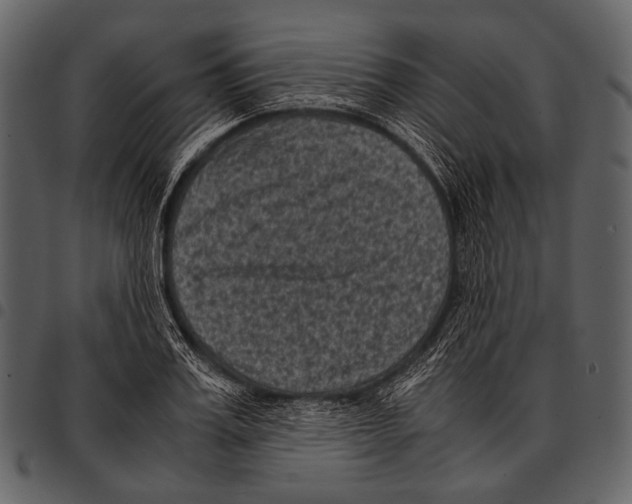 X0000097500987200803201548